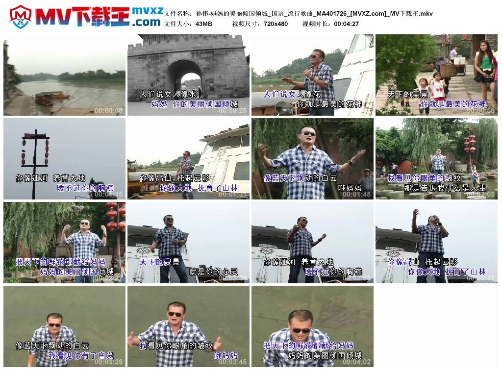 孙伟-妈妈的美丽倾国倾城_国语_流行歌曲_MA401726